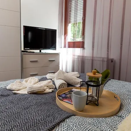 Apartament Wanderer Station *