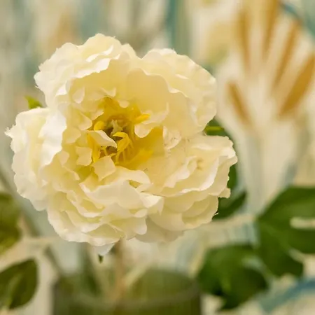 Wanderer Station * Дебрецен